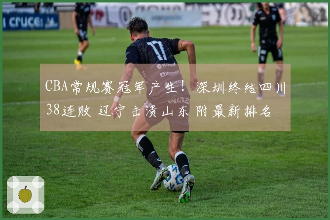 CBA常规赛冠军产生！深圳终结四川38连败 辽宁击溃山东 附最新排名